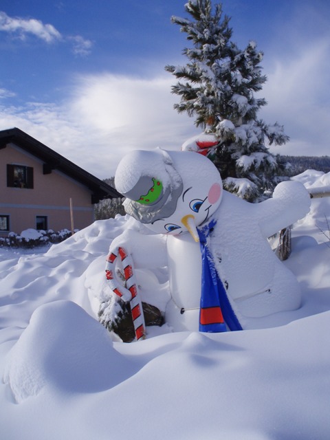 Haus Winter 3