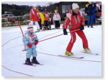 ski1