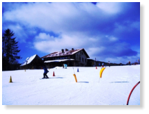 ski3